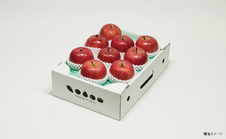 ＜ 先行予約 ＞ サンふじ りんご 秀品 約 3kg 8～12玉 【2026年11月下旬から12月下旬発送】 山形県 朝日町産 山形県産 果物 フルーツ リンゴ 林檎 秋 冬
