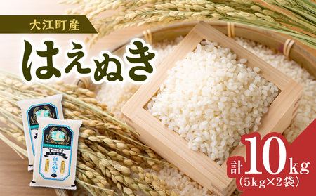 【令和6年度産米】新米 大江町産 はえぬき 10kg(5kg×2袋)【山形県産】【2024年度産米】 001-086