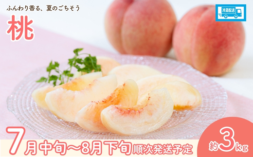 No.2036 フルーツ２種定期便【2026年発送】