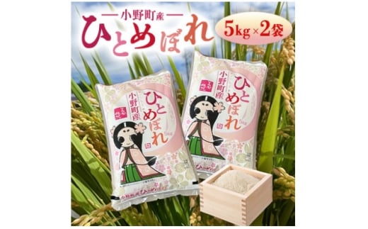 ＜毎月定期便＞福島県小野町産ひとめぼれ 精米 10kg(5kg×2袋)全3回【4081889】