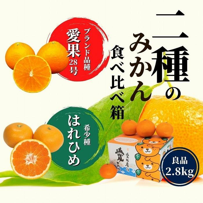 【ふるさと納税】 【先行予約】 【12月から順次発送】 愛果28号 ＆ はれひめ 良品 約2.8kg | 愛果28号 まどんな 柑橘 みかん 果物 くだもの フルーツ おすすめ 高級 人気 お取り寄せ グルメ ギフト 期間限定 数量限定 ご当地 愛媛県 松山市