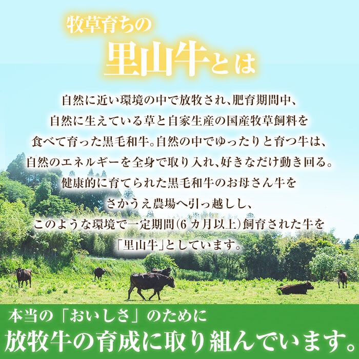 国産黒毛和牛 牧草育ちの里山牛 焼肉・ホルモンセット 計1kg以上 b8-031