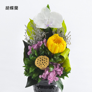 蓮華 (れんげ) 花 お花 プリザーブドフラワー ギフト プレゼント お祝い 誕生日 お供え アレンジ インテリア 東京都 墨田区 胡蝶蘭/一対
