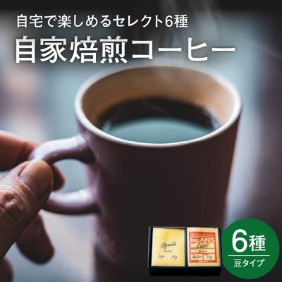 ふるさと納税 米沢市 自宅で楽しめる セレクト 6種 自家焙煎 コーヒー 6袋 ( 1袋 30g ) 【豆タイプ】
