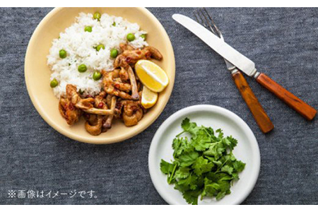 【美濃焼】DINING プレートセット ココナッツ【ZERO JAPAN】 食器 うつわ カレー皿 パスタ皿 ケーキ皿  皿 ワンプレート ランチ プレート 美濃焼 おしゃれ 食器セット お皿セット 