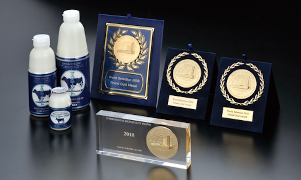 【10ヶ月定期便】ヤスダヨーグルト 大ボトル 800g×10本 1B92141