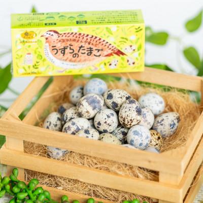 ふるさと納税 湖西市 うずらの卵ギフトセット(うずらの生卵10個+うずらの燻製玉子5個入×2袋) |  | 01