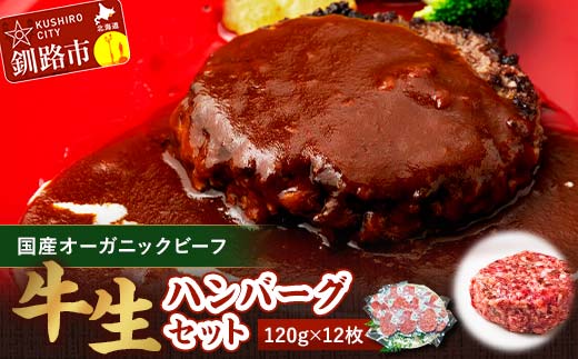 8月発送 生ハンバーグ120g×12枚 釧路生まれ、釧路育ちのオーガニックビーフ  F4F-3508