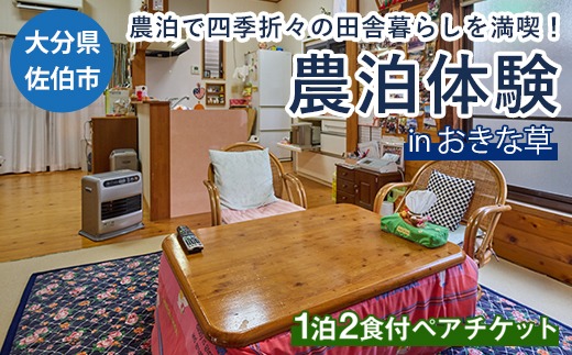 農泊体験・おきな草 ペア1泊2食(ペアチケット) 体験 宿泊体験 チケット 民泊 宿泊 農村 食事付き 大分県 佐伯市【HD241】【さいき本舗 城下堂】