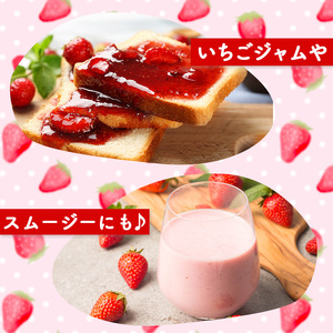 苺 【2月中旬以降発送】 250g×4P 1kg 先行予約 かおり野 苺