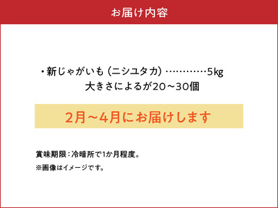 【 2025年 先行予約 】 新じゃがいも ニシユタカ 5kg 4月 お届け C056-004-03 じゃがいも 新じゃが いも 芋 ポテト 野菜 ミネラル豊富 料理 調理 先行受付 先行 予約 沖永