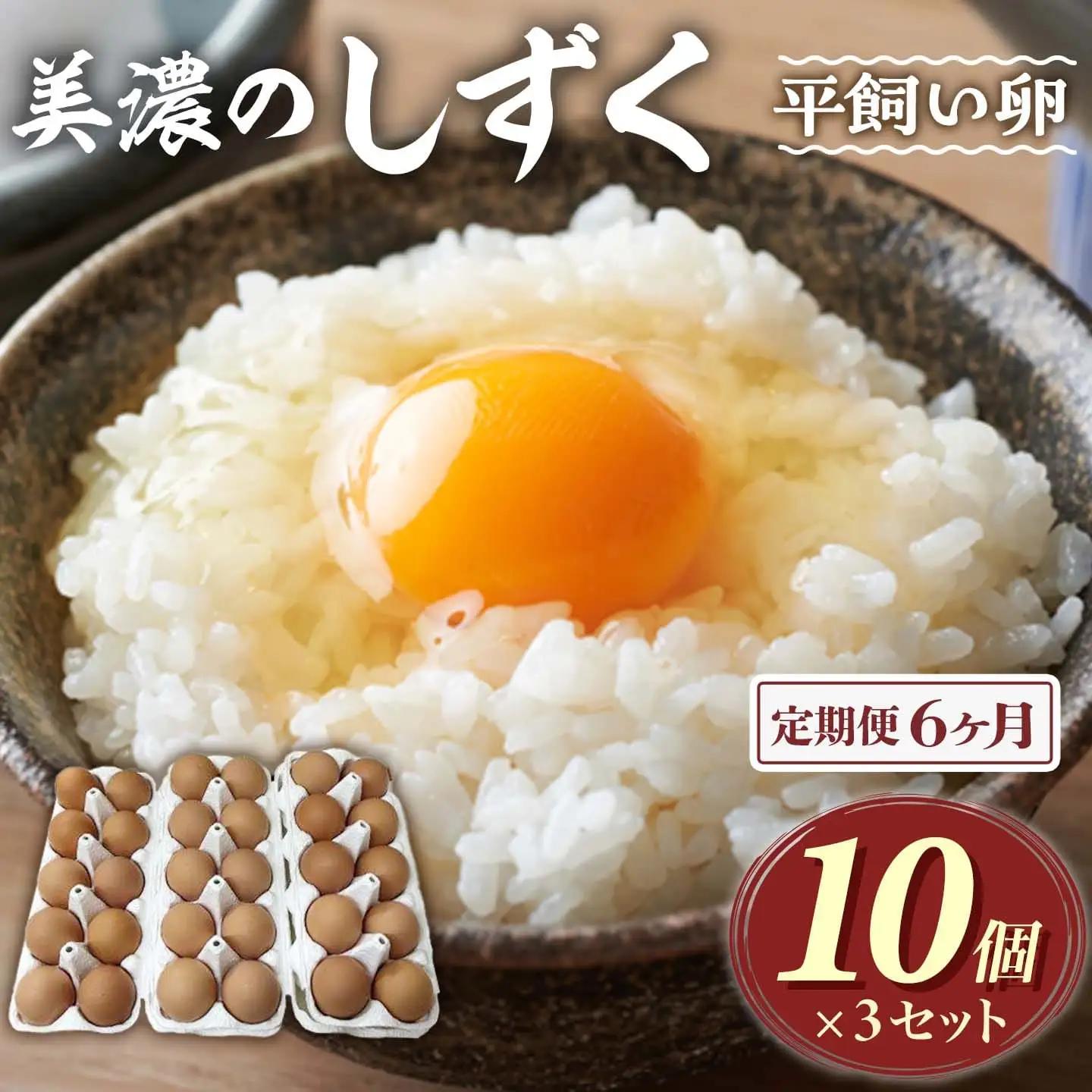 【定期便6回】 新鮮たまご30個入×6ヶ月 郡上八幡コケコッコ村の地養卵 美濃のしずく FN-Limited-SP