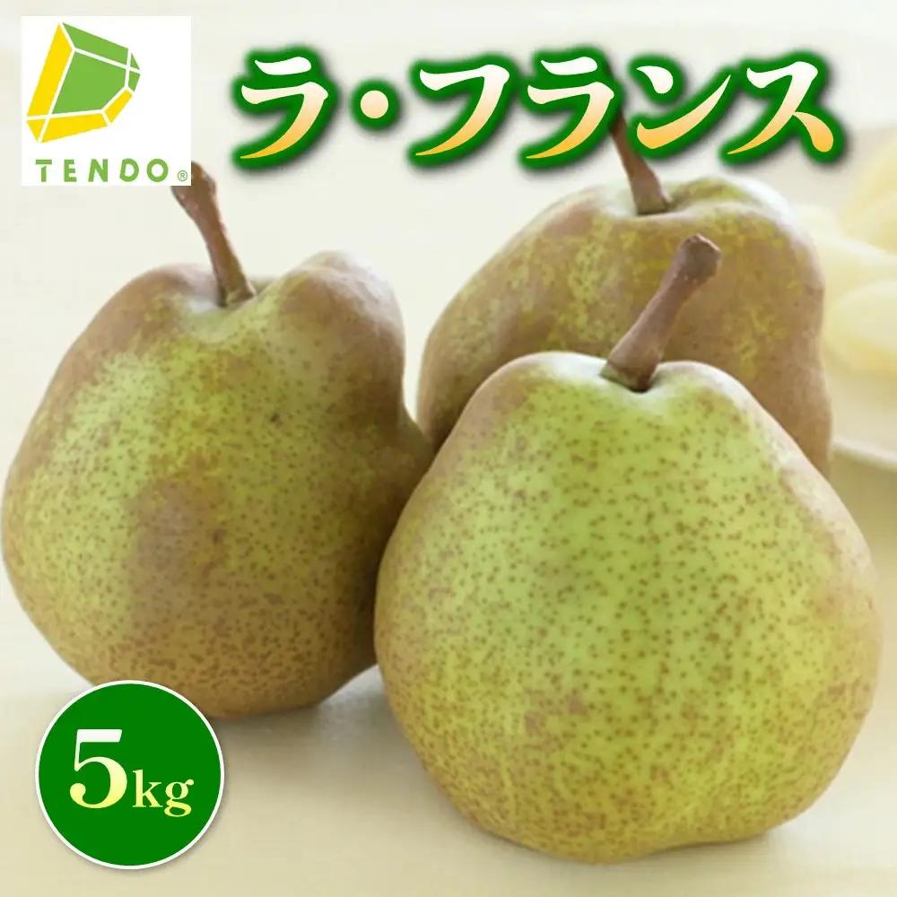 ラ・フランス 5kg フルーツ 果物 山形 洋梨 ラフランス