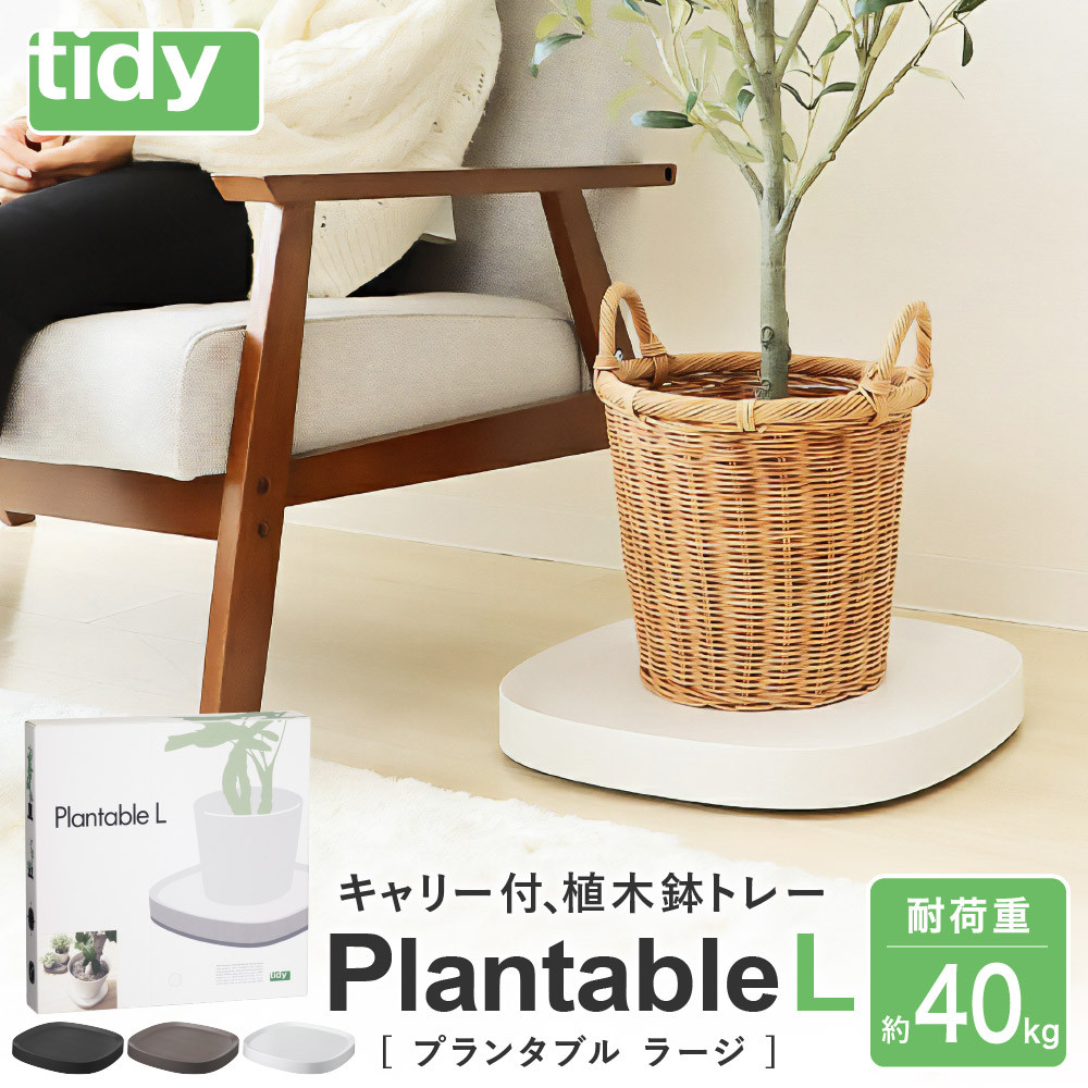 
015EB11N.tidy ティディ Plantable L（キャスター付植木鉢トレイ）／Lサイズ 台 観葉植物 トレイ プランター 受け皿 受皿 鉢皿 らくらく移動 可動式 軽量 ガーデニング リビング オフィス 玄関 掃除用品 掃除 お掃除 日用品 インテリア 雑貨 おしゃれ
