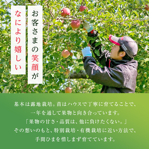 ＜先行予約＞福島県産 甘くてジューシー 桃 あかつき 5kg （18玉～25玉） もも フルーツ 果物 F6Q-354
