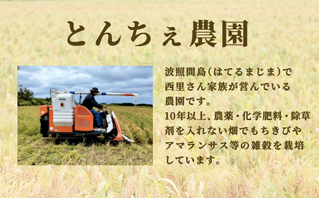 沖縄県波照間島産　日本最南端の島から贈る『もちきび』400g×2袋　とんちぇ農園（農薬・化学肥料不使用）【もちきび 波照間島 沖縄 無農薬 農薬不使用 国産 雑穀】