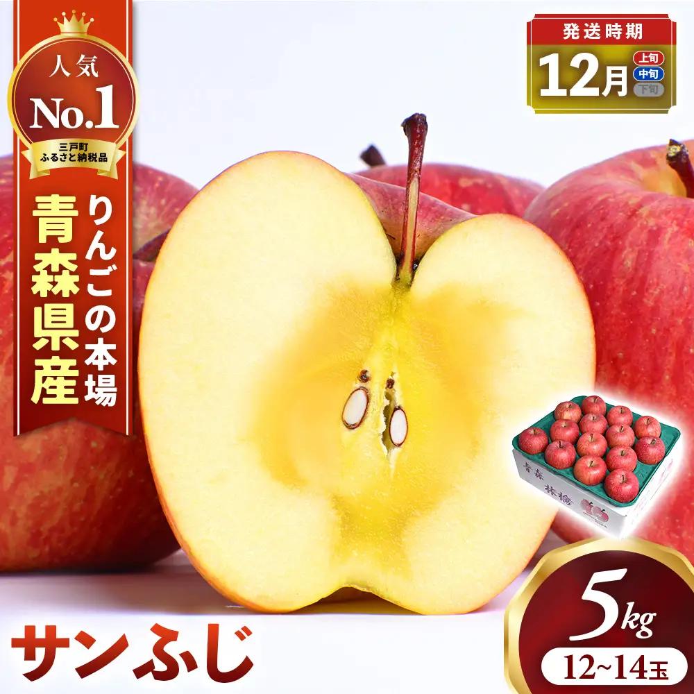 青森県産りんご サンふじ 約5kg 12月上旬～ りんご