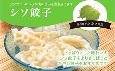 
「宇都宮餃子館」シソ餃子 960ｇ（４８個）≪ギョーザ 冷凍餃子 冷凍食品 グルメ 食品 惣菜 中華惣菜 点心 中華≫
