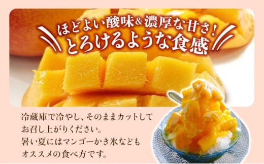 【訳あり】 アップルマンゴー 約1kg (栽培期間中 減農薬栽培)【2026年6月中旬以降順次発送】アナナス農園 完熟 マンゴー 果物 フルーツ