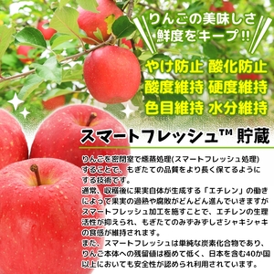 家庭用 りんご サンふじ スマートフレッシュ™ 5kg (14玉から20玉入り 5kg 1箱) 見た目にわけあり 味はそのまま｜青森 つがる 訳あり リンゴ [0795] 