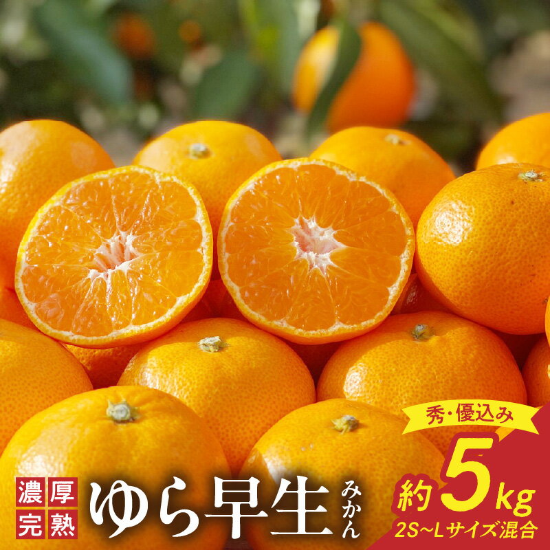 【ふるさと納税】【限定】【2025年先行予約】北真農園 有田みかん ゆら早生 濃厚完熟 5kg お試しサイズ （秀・優込み 2Sサイズ～Lサイズ混合） ORYY推奨