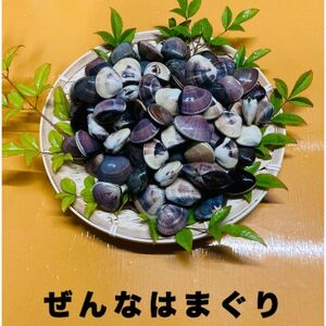 千葉県産 真空冷凍はまぐり(ぜんなはまぐり) 約1.5kg(約500g×3P)【配送不可地域：離島】【1522002】