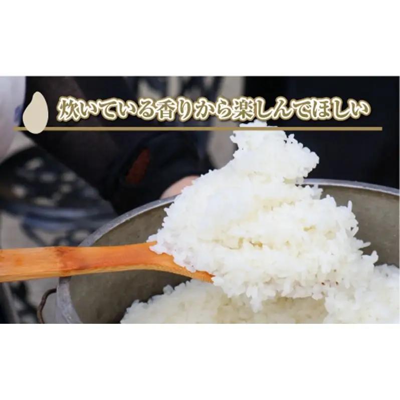 【令和8年産 先行予約】新潟県魚沼産コシヒカリ「山清水米」精米5kg