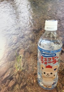 【定期便】そうじゃの水「チュッピーウォーター」（500ml×24本）〔12回配送〕144-002
