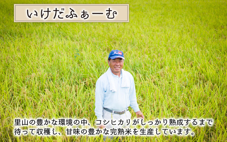 【先行予約】【令和7年産　新米】【6ヶ月定期便】くらもち完熟米 コシヒカリ 白米10kg（5kg×2袋）×6回　計60kg【2025年10月より順次発送】ふるさと納税 定期便 毎月 届く 小分け 米 