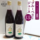 【ふるさと納税】 ブルーベリージュース 720ml 選べる本数 2本 3本 果汁飲料 ハイブッシュ ラビットアイ ブレンド 完熟 果物 ジュース 数量限定 ギフト 贈り物 O-B-Iベリ―農園 山梨県 北杜市産 送料無料