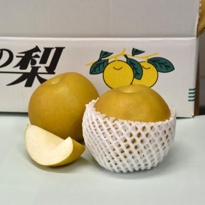 【数量限定】館山齊藤果樹園の完熟梨「新高(にいたか)」6〜9個【1534578】