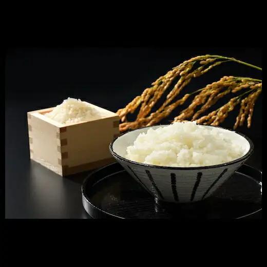 無洗米 令和7年産 天のつぶ 10キロ(5kg×2袋)|無洗米 南相馬 お取り寄せ