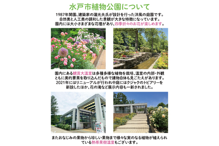 【数量限定】水戸市植物公園ガイドツアー＆薬膳料理体験（ペアチケット）（KD-1）