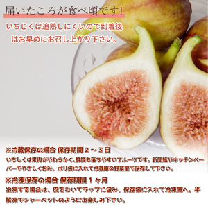 朝採れ 完熟 いちじく 1.6kg (400g×4パック） いちじく