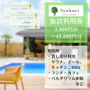 【ふるさと納税】5yukuri 利用券　3,000円分～45,000円分 新潟 サウナ 本場 フィンランド バレルサウナ セルフロウリュ プール カフェ ランチ パルダリウム 貸し切り クーポン