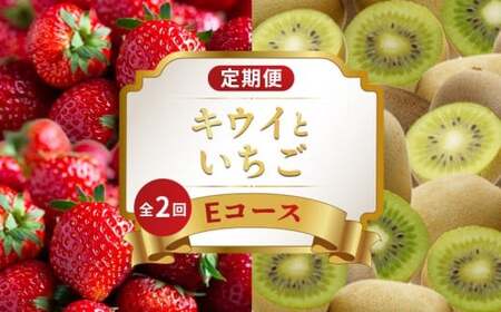 旬のフルーツ定期便 2回 Eコース フルーツ 定期便