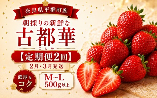 AO05 【定期便２回】２月・３月発送・朝採りの新鮮な古都華M～L 500ｇ以上 いちごいちえ | 果物 くだもの フルーツ 苺 イチゴ いちご ストロベリー 古都華 ことか 希少 濃厚コク 芳醇 果肉 しっとり 旬の品種 奈良県 平群町