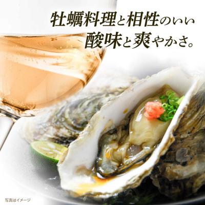 ふるさと納税 糸島市 【糸島マスエワイナリ】 牡蠣シュワ 2本 糸島市/いとしのいとしま[AEP003] |  | 01