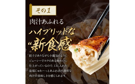 包王Paou 人気餃子3種セット 牛とんぽう 黒毛和牛小籠包餃子 鹿児島黒豚小籠包餃子 餃子 点心 ギョーザ ぎょうざ 包王 Paou 冷凍 ぎょうざ 冷凍餃子 ギョーザ お惣菜 惣菜 黒毛和牛 小籠