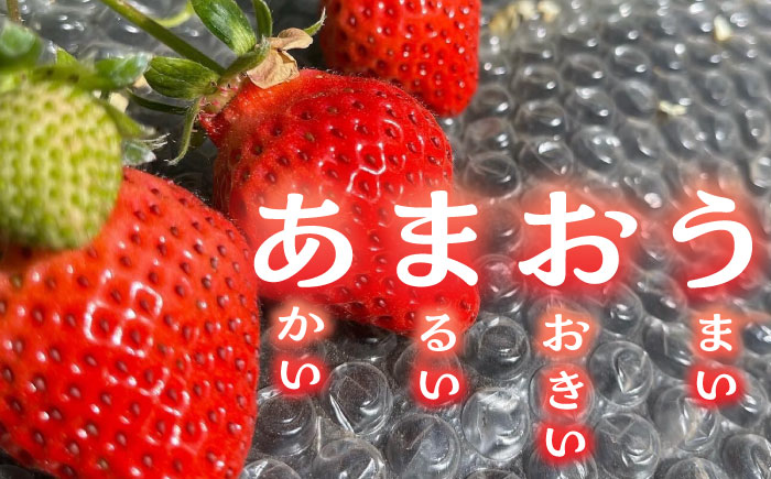 【先行予約】津田くん農園のあまおう 1㎏ 【2025年1月-2月発送】《豊前市》【株式会社くしだ企画】苺 いちご あまおう [VDG001]