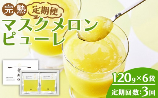 ピューレ メロン 120g×6袋 【3回定期便】完熟マスク JALファーストクラス機内食に採用 果物 くだもの フルーツ めろん 果汁100％ まるごと アイス シャーベット デザート スイーツ 篤農 高知県 香南市 冷凍 Wtn-0031
