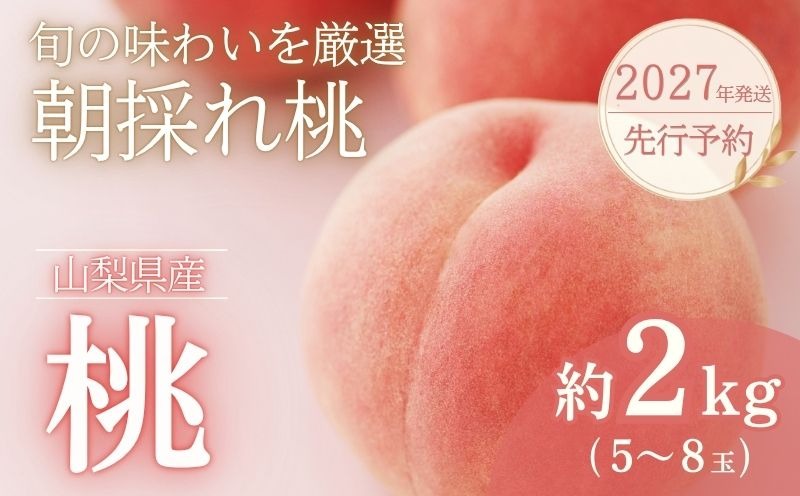 【2024年 先行予約】日本一の産地山梨県産　朝採れ桃２kg(５～８玉）