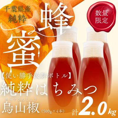 ふるさと納税 大網白里市 千葉県産純粋はちみつ【計2kg】からすざんしょう500g×4本