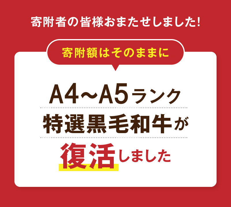 S001-001-T12_【定期便12回】A4～A5等級 黒毛和牛 切り落とし1kg（500g×2P）12か月連続お届け