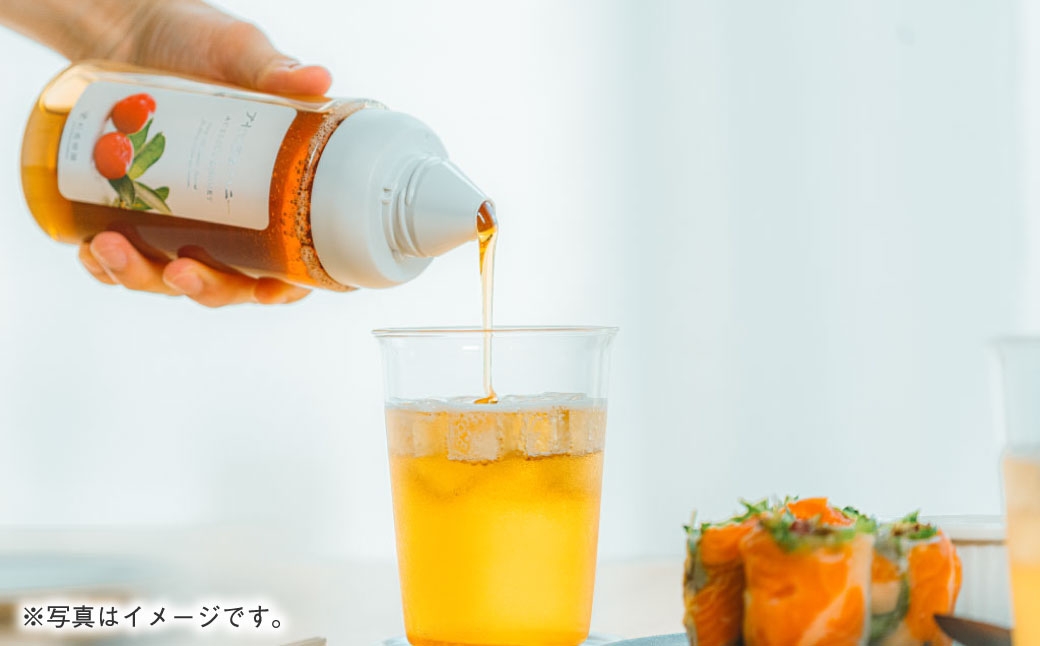 ブルーベリー 果汁入りはちみつ 1000g