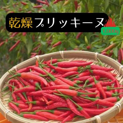 ふるさと納税 熊野市 【テレビで紹介されました】【熊野唐辛子】プリッキーヌ(乾燥) 1000g