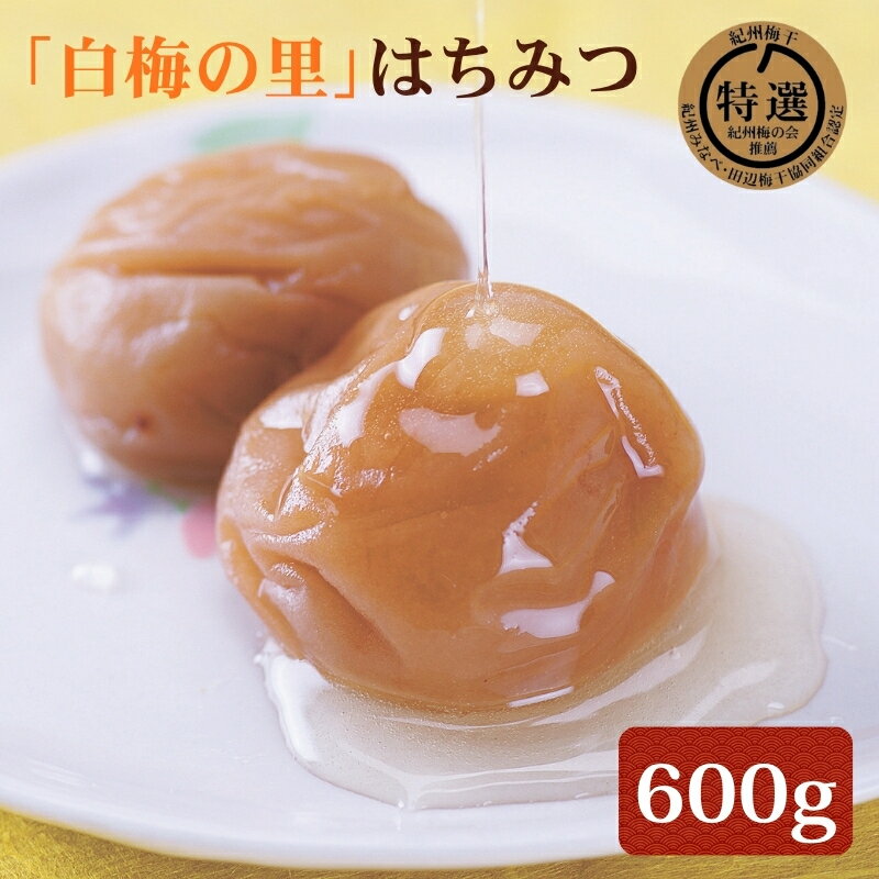 【ふるさと納税】特選　紀州南高梅「白梅の里」はちみつ　600g | 南高梅 梅 うめ ウメ はちみつ梅 ご飯のお供