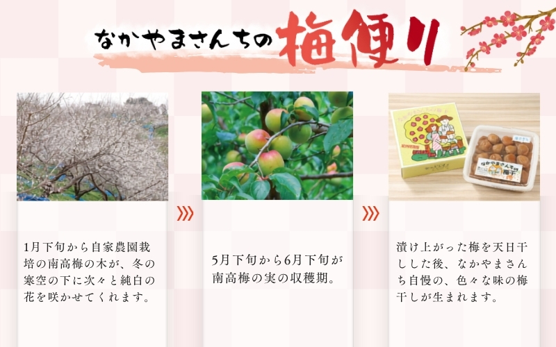 紀州南高梅　かつお【ハチミツ入】 塩分5%（2kg）なかやまさんちの梅干　うめ　ウメ【nky009-220k】