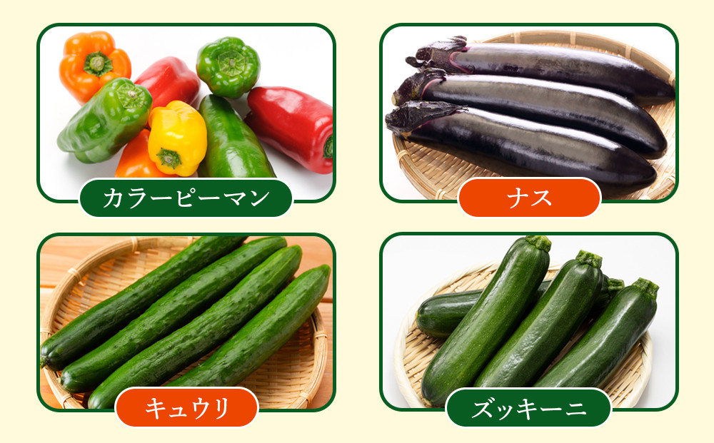 【先行予約】旭川のおまかせ野菜セット(トマト2kg＋3種以上)(2026年7月下旬発送開始)_05910