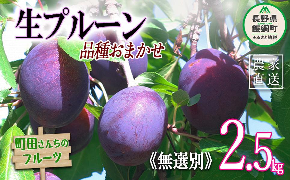 
            プルーン 家庭用 2.5kg （2kg箱詰め） 無選別 沖縄県への配送不可 2025年8月上旬頃から8月下旬頃まで順次発送予定 町田さんちのフルーツ 13000円 長野県 飯綱町 [0419]
          